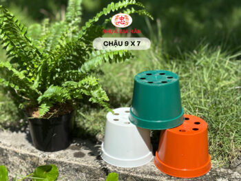 CHẬU NHỰA 9X7 - Ảnh 8