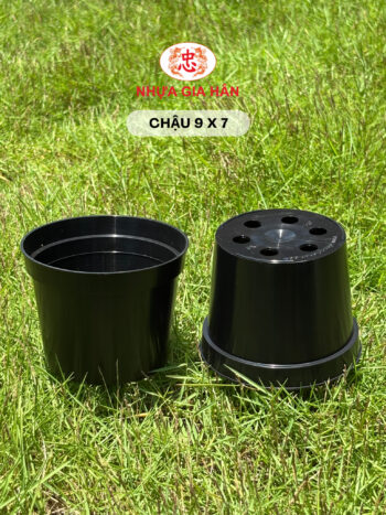 CHẬU NHỰA 9X7 - Ảnh 6
