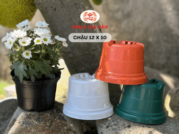CHẬU NHỰA 12x10 - Ảnh 2
