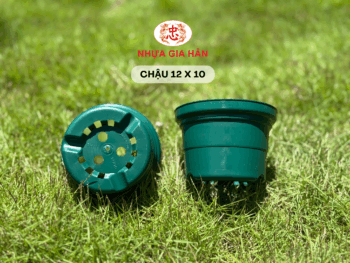 CHẬU NHỰA 12x10 - Ảnh 6