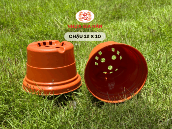 CHẬU NHỰA 12x10 - Ảnh 5