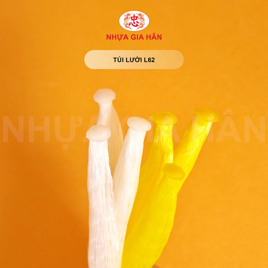 TÚI LƯỚI L62 ĐỰNG TRÁI CÂY - ĐÔ CHƠI TÚI LƯỚI L62 ĐỰNG TRÁI CÂY - ĐÔ CHƠI - Ảnh 1